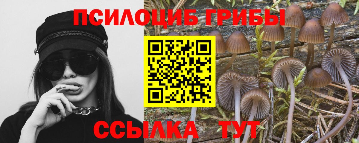 Псилоцибиновые грибы Cubensis  Вход с VPN  Псилоцибиновые грибы мицелий  Орёл 