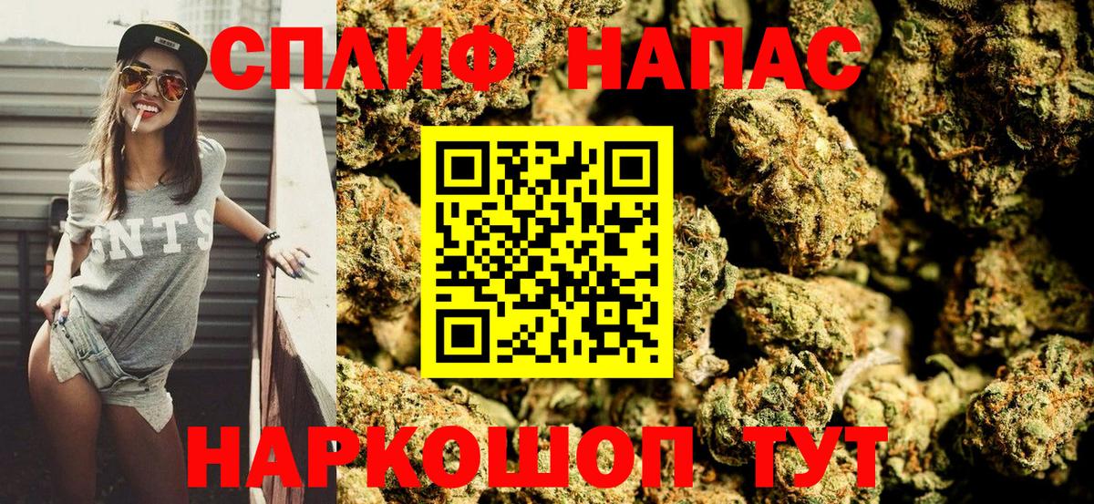 Каннабис Bruce Banner  МАРИХУАНА семена  Вход с VPN  Каннабис OG Kush  Конопля ГИДРОПОН  Орёл 